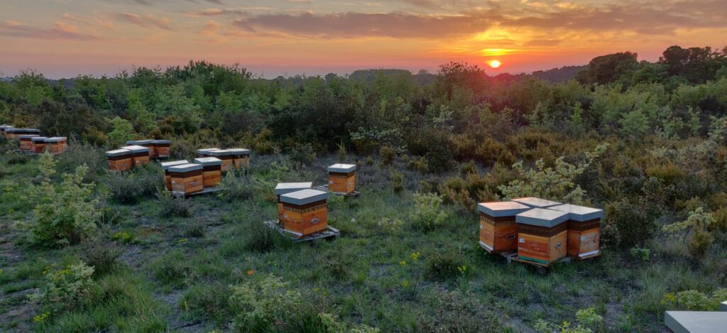 PRESERVER la biodiversité 1 PHOTO 2019 06 05 08 35 03 copie