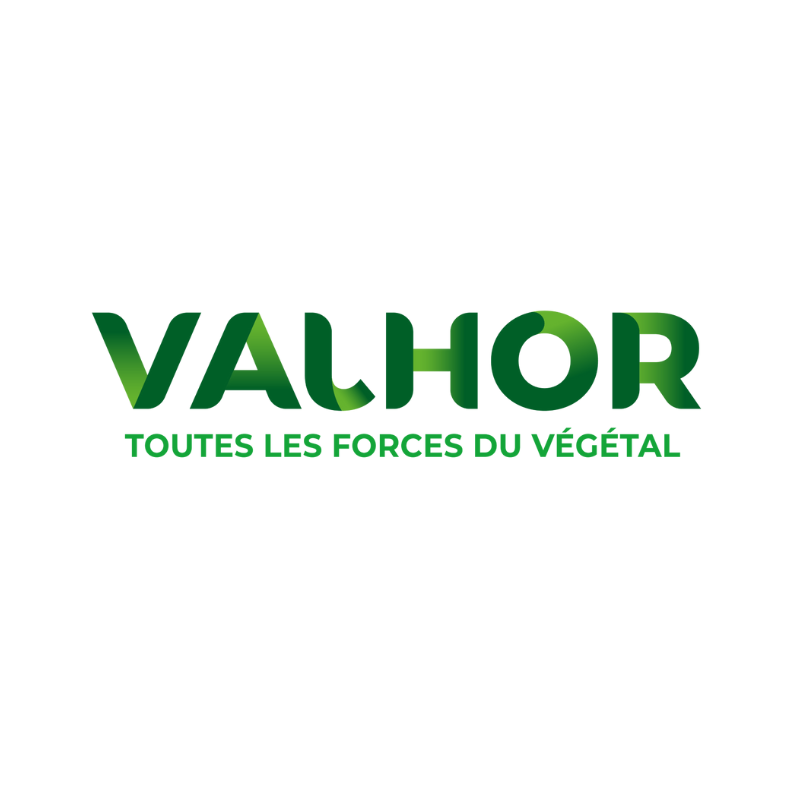 logo valhor