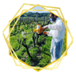 AGIR pour les générations futures 15 OFA Chronologie etape 11 1