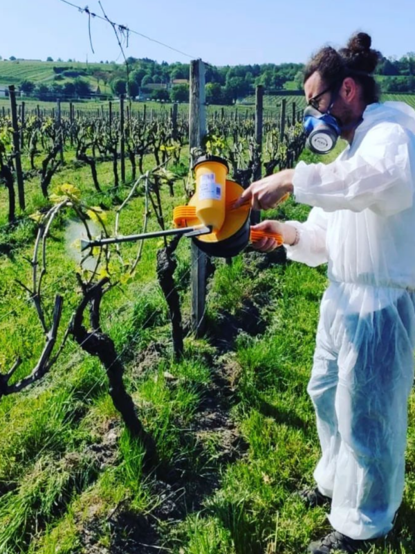 Traintement porpolis