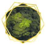 AGIR pour les générations futures 16 OFA Chronologie etape 11 1